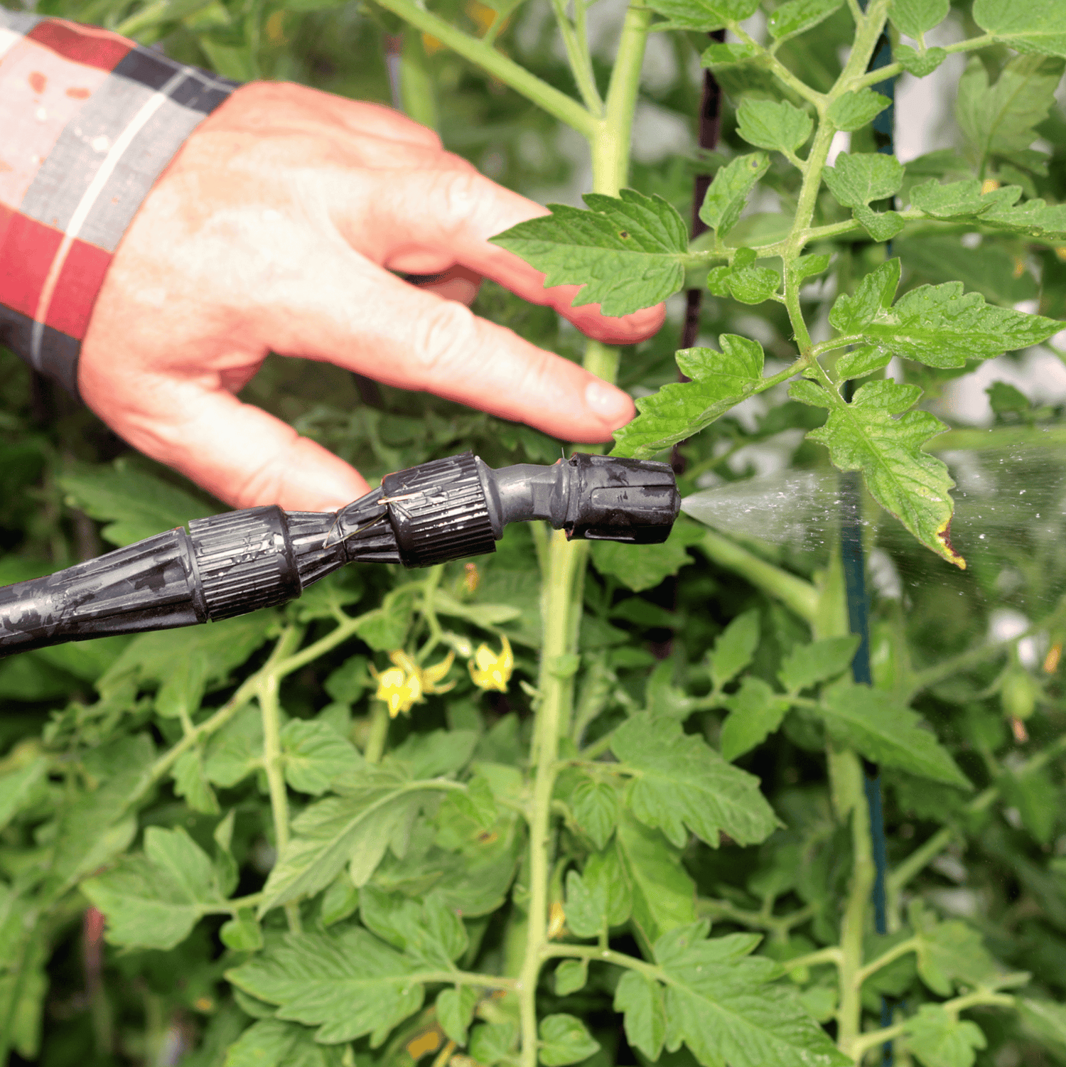How to Protect Your Home from Seasonal Pests