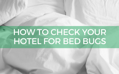 How to Check Your Hotel for Bed Bugs