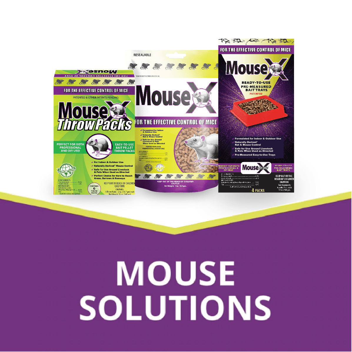 Ecoclear Products 620107 Mousex Ready Tray 2 Pack: Mouse, Rat & Rodent Bait  & Poison (853536004512-1)
