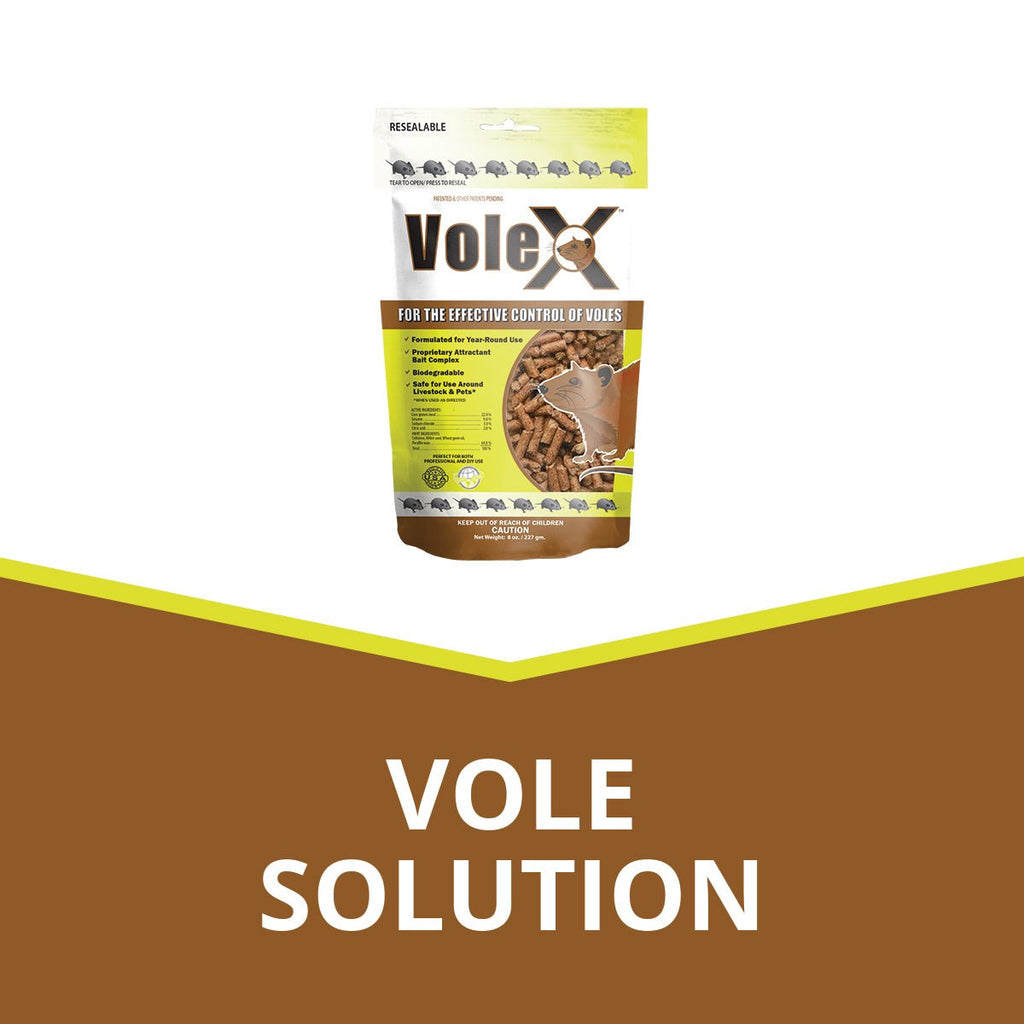 VoleX an ecofriendly effective solution against all species of moles,