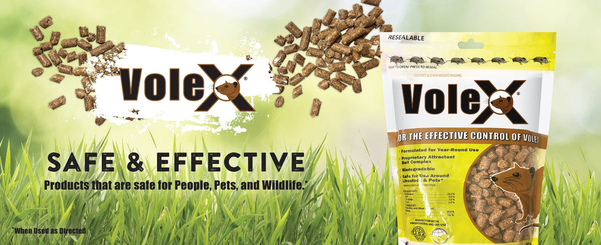 VoleX vole control – safe & effective, non-toxic to people, pets and wildlife