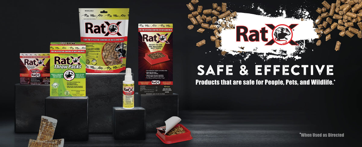 RatX rat and mouse control – safe & effective, non-toxic to people, pets and wildlife