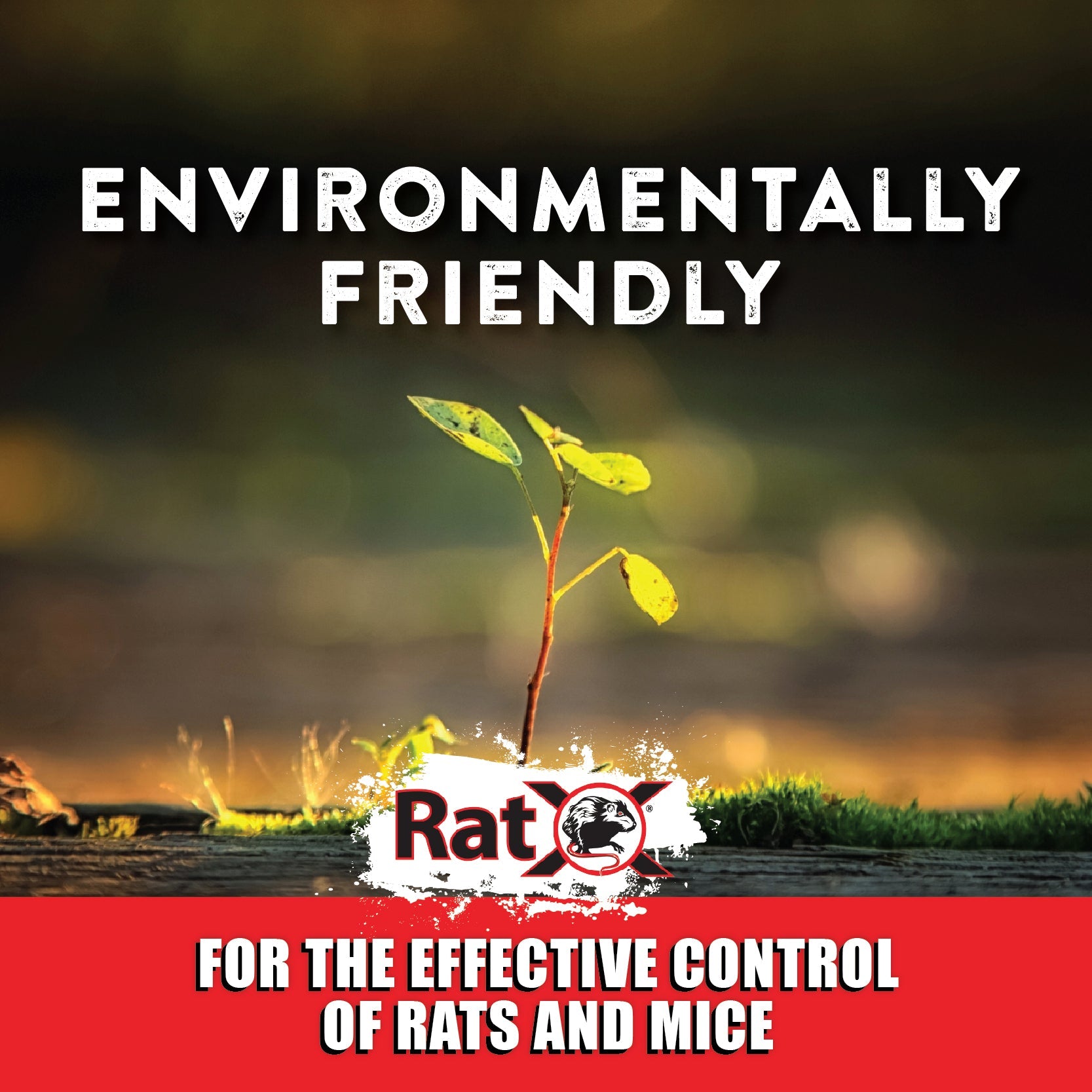 RatX® Pellets