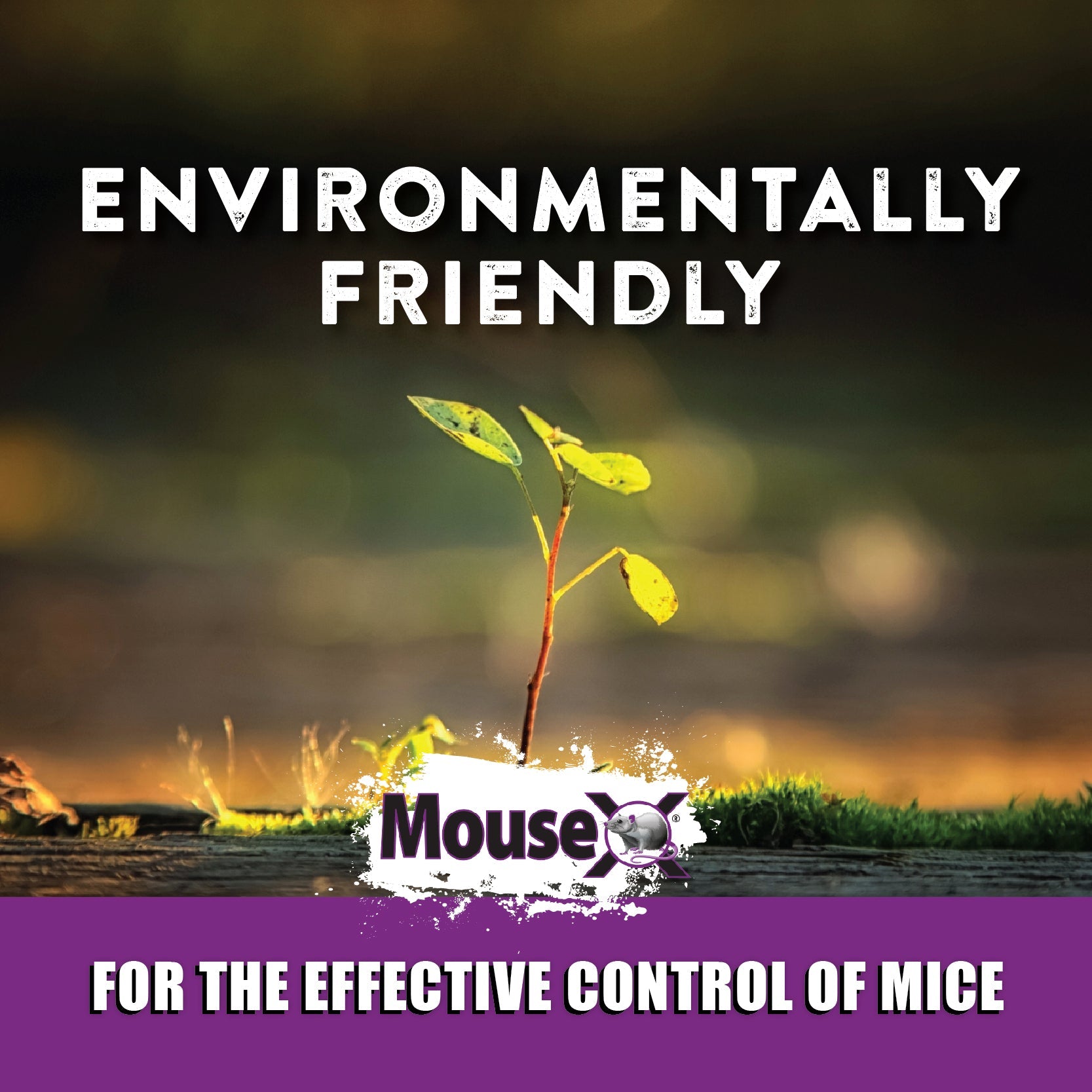MouseX® Pellets - EcoClear Products