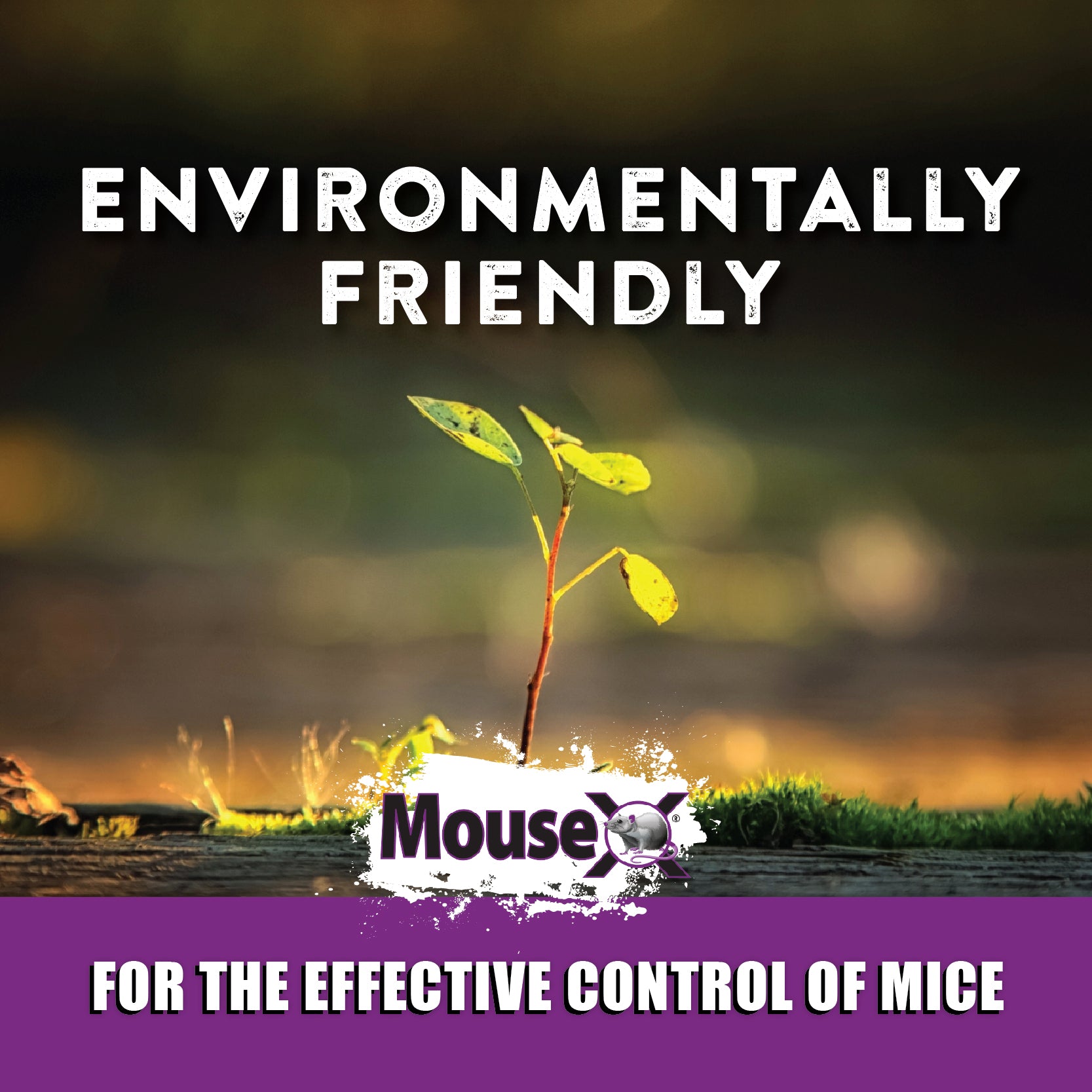 MouseX® Throw Packs - EcoClear Products