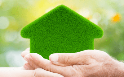 The Importance of Using Eco-Friendly Products in Your Home