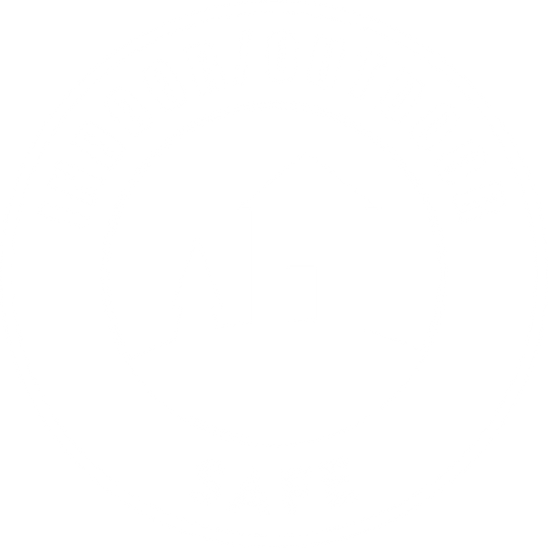 RatX Throw Packs HassleFree Rat Control