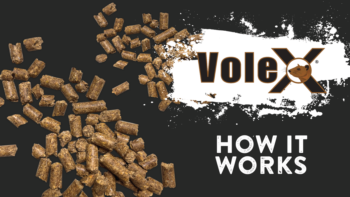 VoleX®