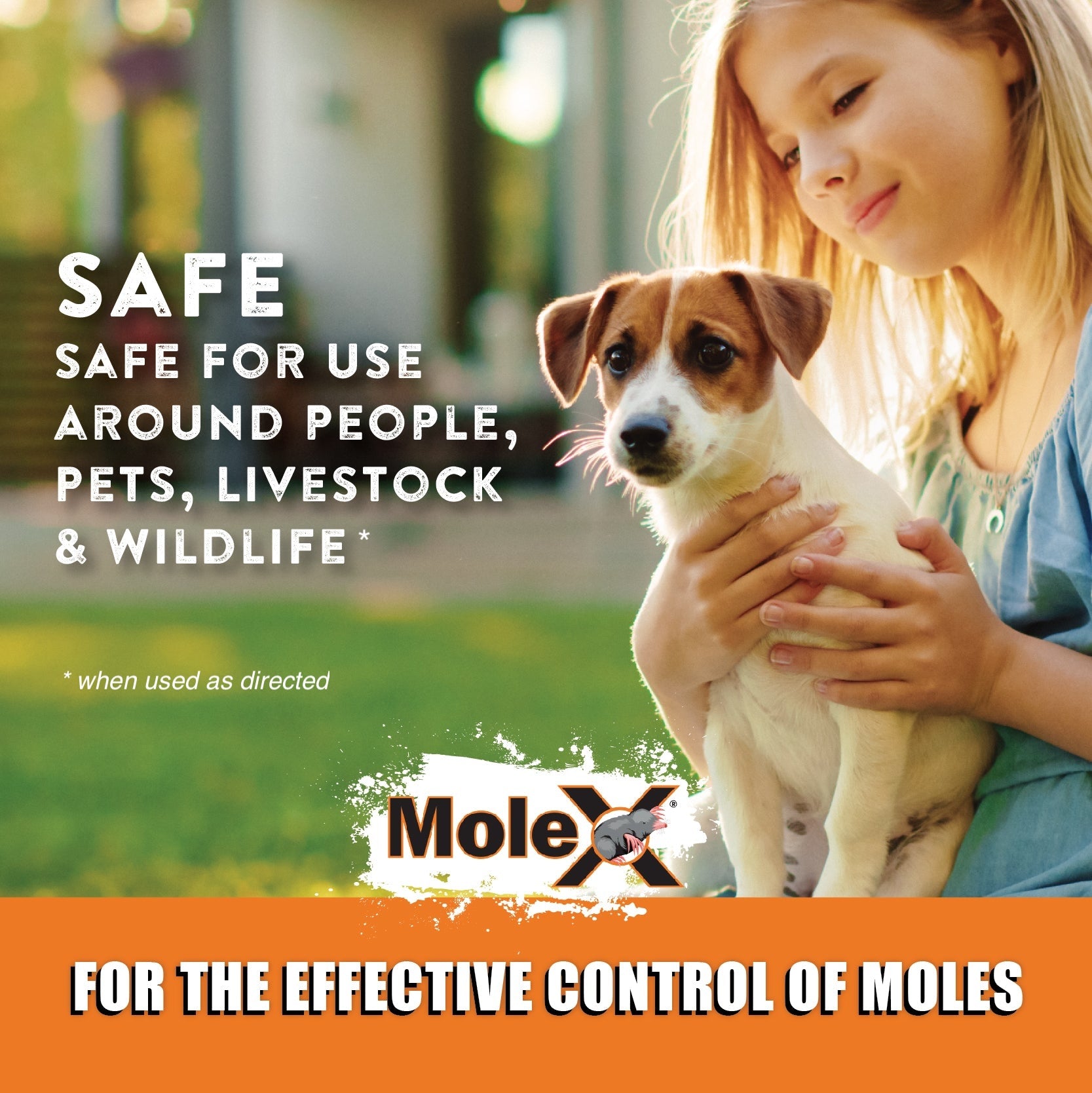 molex safe for use around people and pets