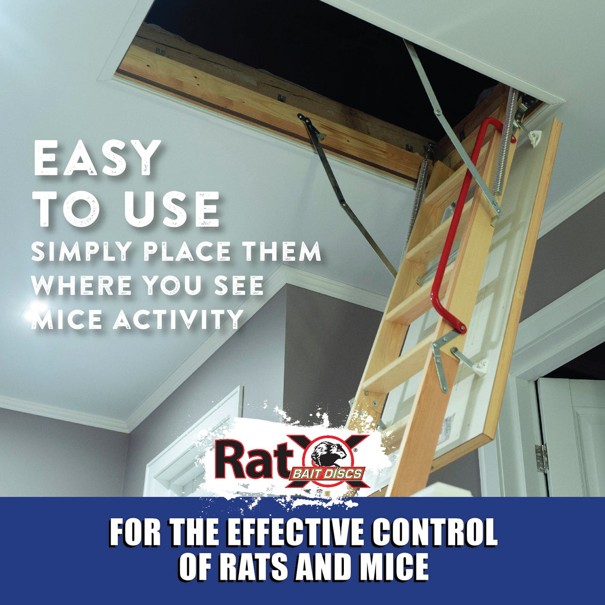 RatX Bait Discs: Effective & Safe Rat Control