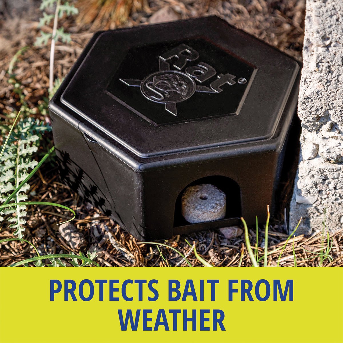 RatX® Small Bait Box protects bait from weather