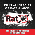 Rat Bastard™ Bundle